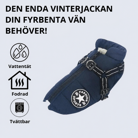Hundjacka – Skydd mot kyla och regn